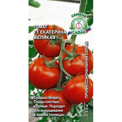 Помідори сорту Катерина Велика на гілці