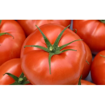 Свежие красные томаты ЭкстраДена