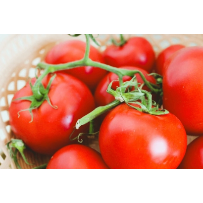 Красные помидоры на ветвях в плетёной корзине - ЭЛЕГИЯ