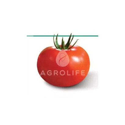 Красный томат с логотипом AGROLIFE на белом фоне - Емоушн F1