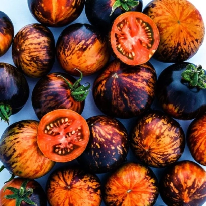 Свежие помидоры сорта ЭРАУНД с разрезанным плодом, демонстрирующим внутреннюю структуру.