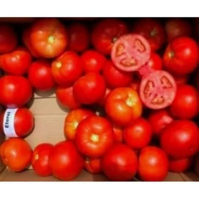 Коробка свежих красных помидоров с одним разрезанным томатом и этикеткой на боку. - Етерей