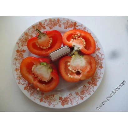 Срезанные томаты на тарелке с декоративным узором - Факир