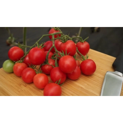 Свежие помидоры на деревянной доске - ФОРМУЛА ЛЮБВИ