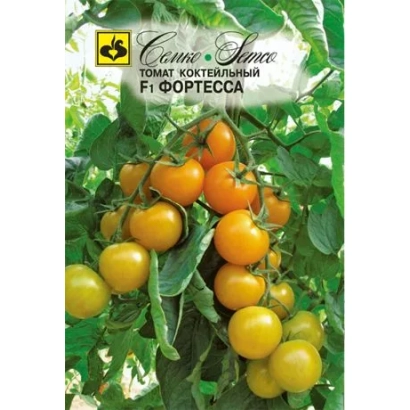 Семена томата сорта ФОРТЕССА на ветке с плодами