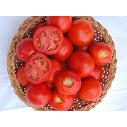 Корзина с красными помидорами, один разрезан пополам - ГАИДАС