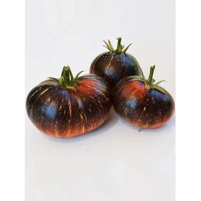 Три черных помидора сорта Галактика на белом фоне