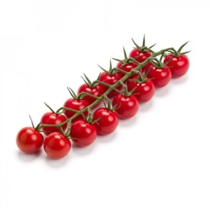 Ветка красных томатов на белом фоне - Дженери