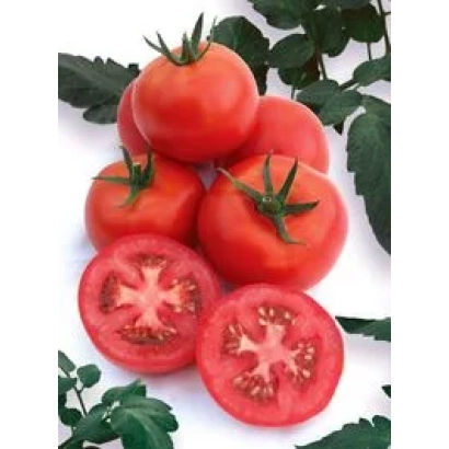 Свежие красные томаты с зелеными листьями на белом фоне - Гламур F1