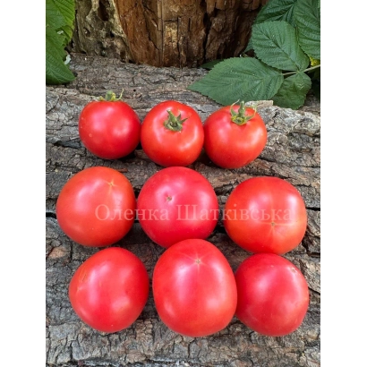 Томаты сорта Глаша на деревянной поверхности