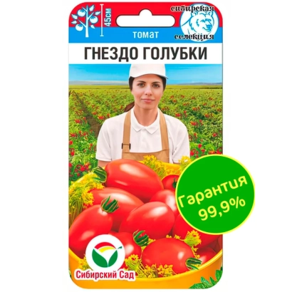 Пакет насіння томата «Гніздо голубі» з зображенням жінки та червоних помідорів - ГОЛУБОЧОК