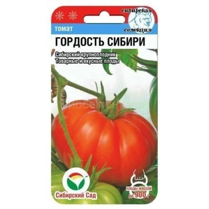 Пакет семян томата Гордость Сибири