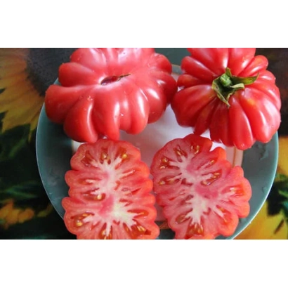 Червоні помідори з нарізкою на тарілці - ГРИБНЕ КОШИК