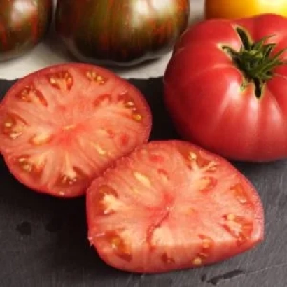 Fresh Grizzly tomatoes on dark background
