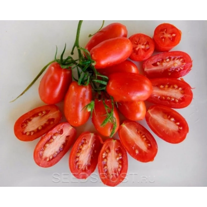 Красные томаты Гроздевые, нарезанные и целые, на белом фоне