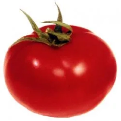 Красный томат сорта ГС-12 F1
