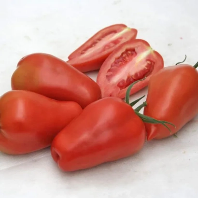 Красные помидоры сорта Гусарский на белом фоне