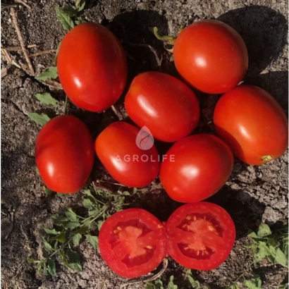 Красные томаты на земле, один разрезан пополам, логотип AGROLIFE - Х 5108
