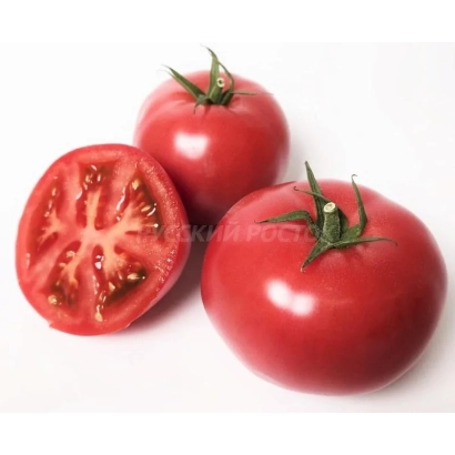 Три красных помидора, один разрезан пополам, на белом фоне. - ХАКИМАРУ