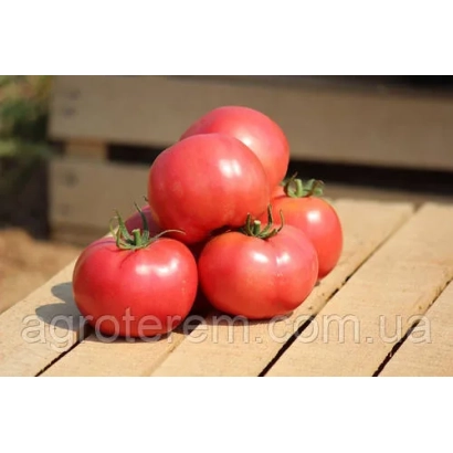 Красные томаты ХЕПИНЕТ на деревянной поверхности