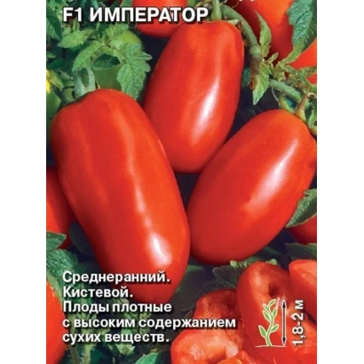 Red tomatoes of the Emperor variety on green leaves