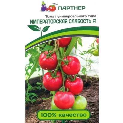 Tomato seeds Emperor's Weakness F1 on a bush with red and green fruits