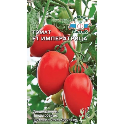 Семена томата сорта Императрица на фоне плодов