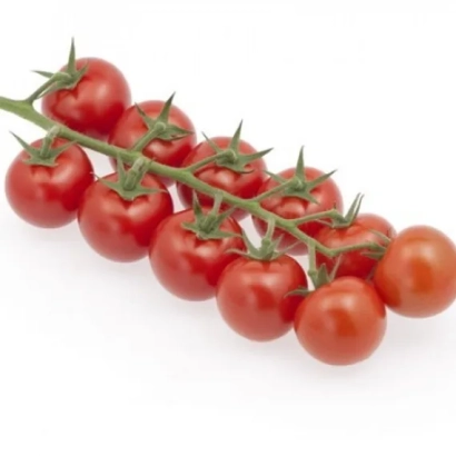 Свежие красные томаты на ветке - ИМПЕРОЗО