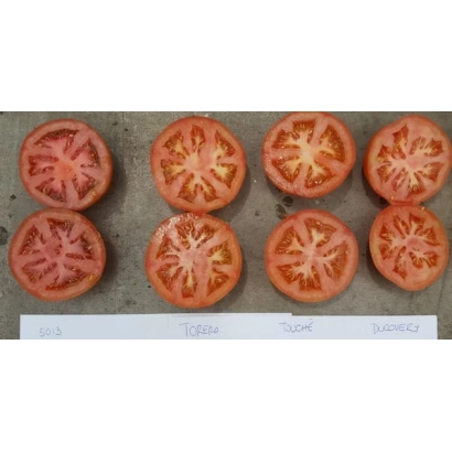 Срезы томата сорта INSPIRED на сером фоне - ИНСПИРЕД