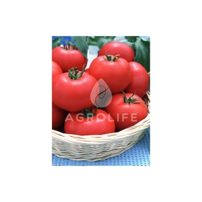 Basket of red tomatoes on green background, AGROLIFE logo - Jaguar F1