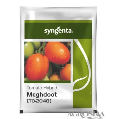 Пакет семян томата гибрида Meghdoot (TO-2048) от Syngenta - К 2048