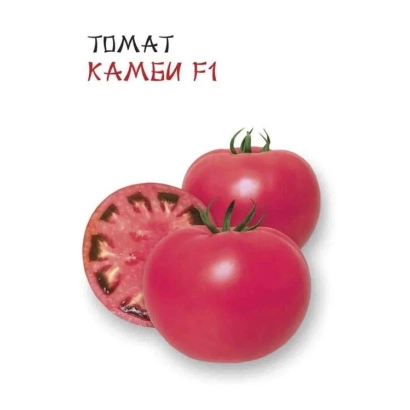 Семена томата КАМБИ F1 на белом фоне