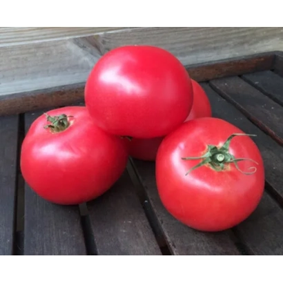 Красные томаты сорта КАНЗАС на деревянной поверхности