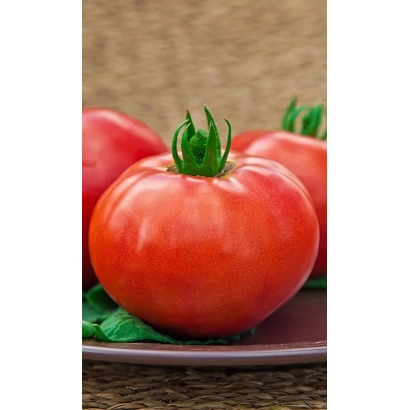 Красные томаты на тарелке - Карнавал