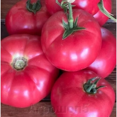 Крупные красные томаты сорта КИЛАТО на деревянной поверхности