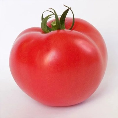 Красный помидор на белом фоне - Китару