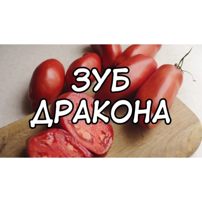 Свежие томаты сорта Зуб Дракона на деревянной доске - КЛЫК ДРАКОНА