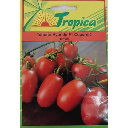 Пакет семян томата гибрида F1 Copernicus - КОПЕРНИК
