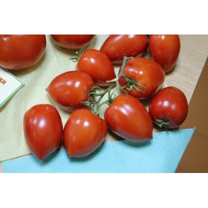 Красные томаты сорта Коралл на деревянной поверхности