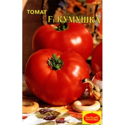 Large red tomatoes of the KUMUSHKA variety on a background of soil and vegetables
