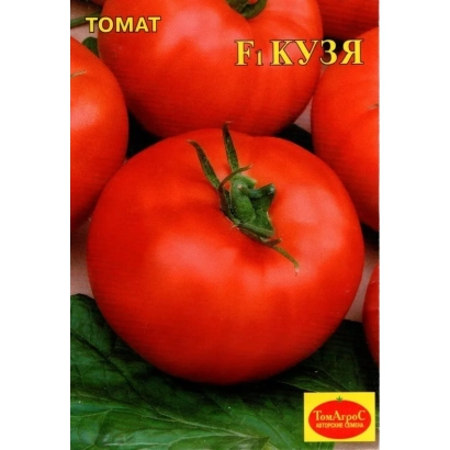 Красные томаты сорта КУЗЯ на зелёных листьях