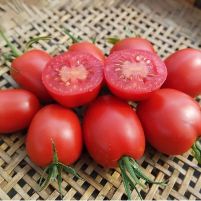 Свежие красные томаты КВАТРО | QUATRO на плетеной подложке