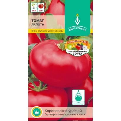 Tomato seed packet LAPOTY with image of red fruits