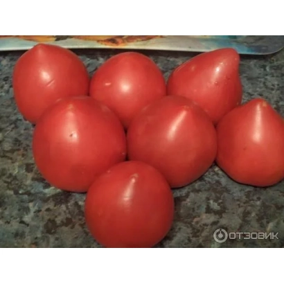 Red tomatoes on stone - LIANOSOVO