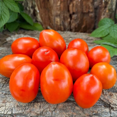 Свіжі червоні помідори сорту Lord на дерев'яній поверхні - Лорд