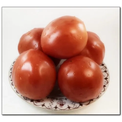 Красные томаты на тарелке - ЛП-08-12