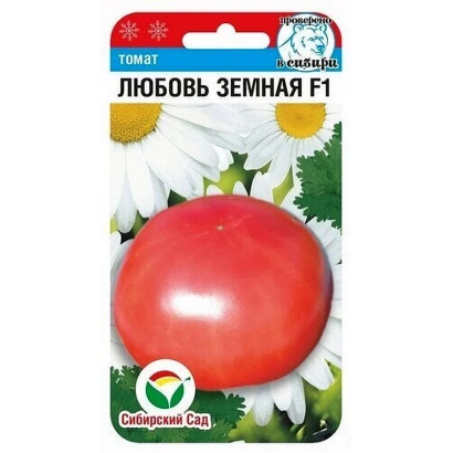 Seed packet of tomato Earthly Love F1 against a background of white daisies