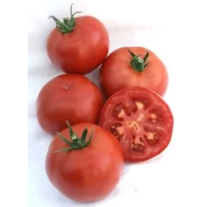 Томати сорту Мадера F1 на білому фоні, один розрізаний навпіл