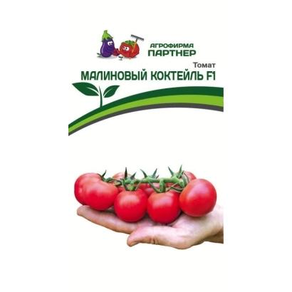 Семена томата Малиновый коктейль F1 на зеленом фоне с изображением ягод малины и помидоров в ладони
