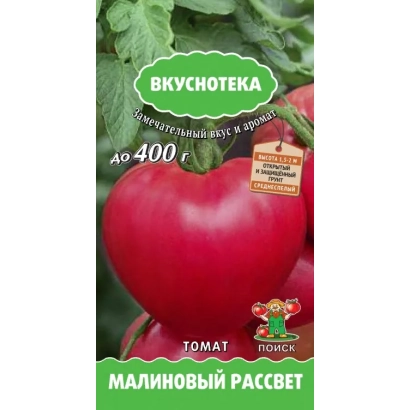 Красный томат сорта МАЛИНОВЫЙ РАССВЕТ на зелёном фоне с логотипом ВКУСОТЕКА